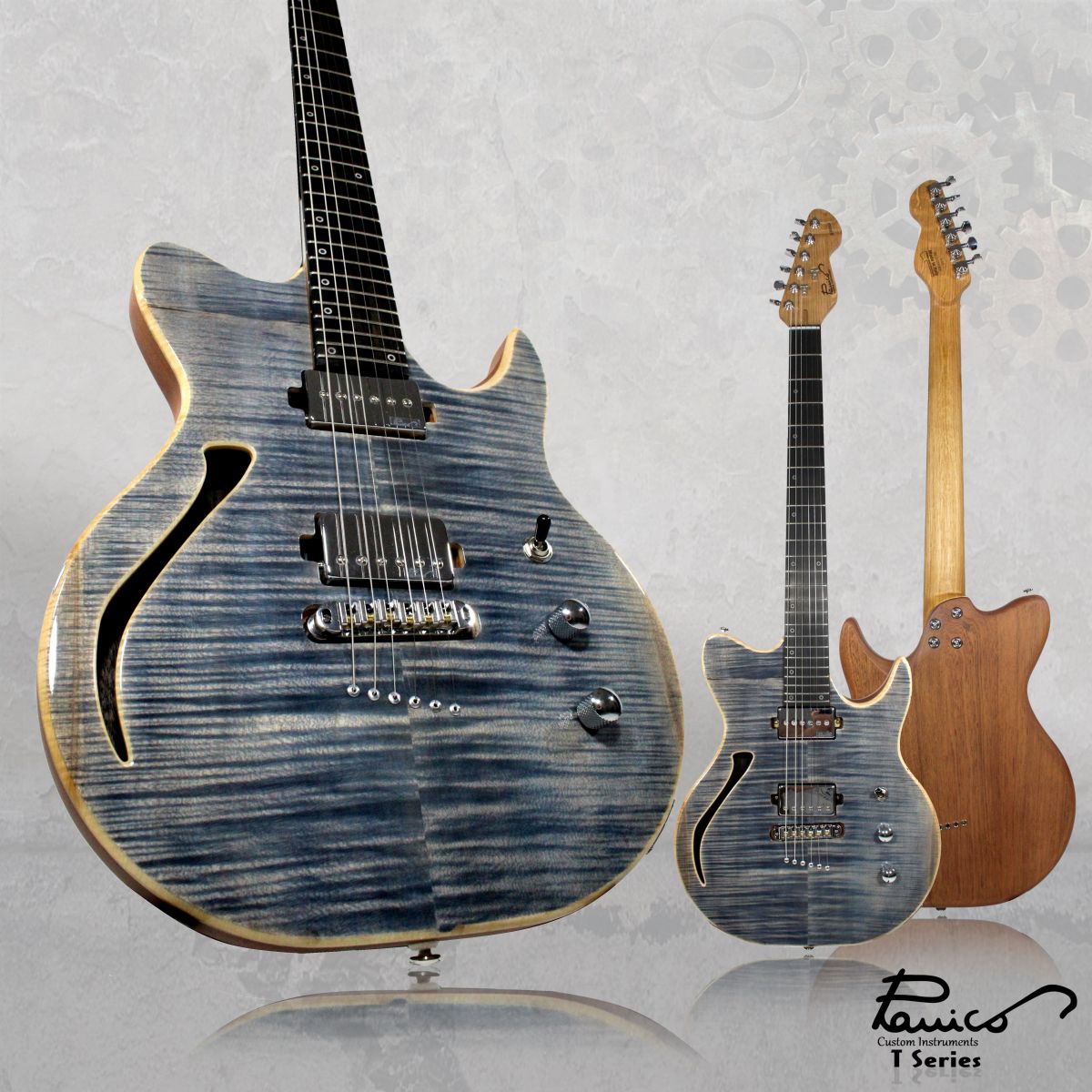 Panico-Guitars-S-Series-S569-2.jpg